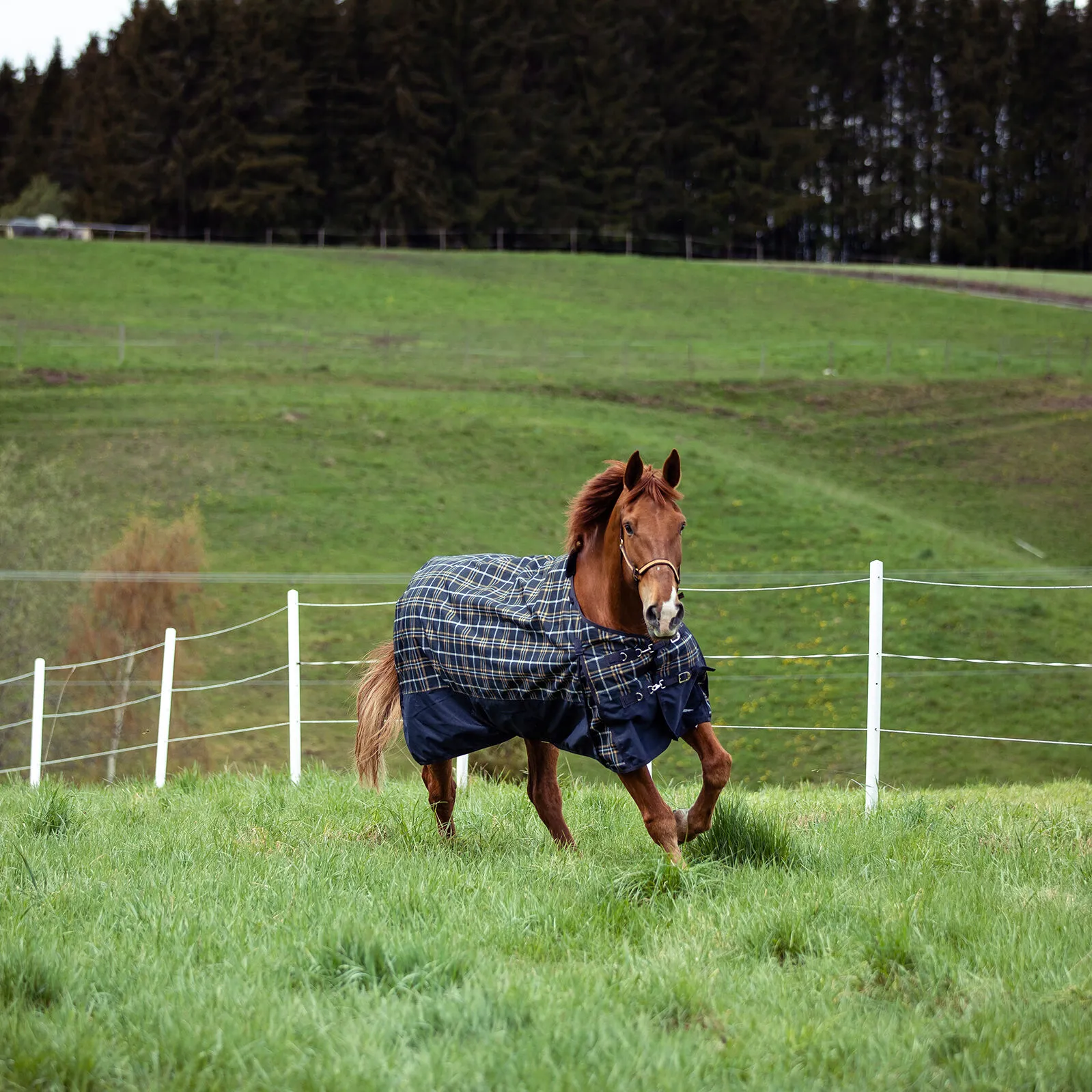 Horze Nevada 1200D Coperta da turnout, 100 gr