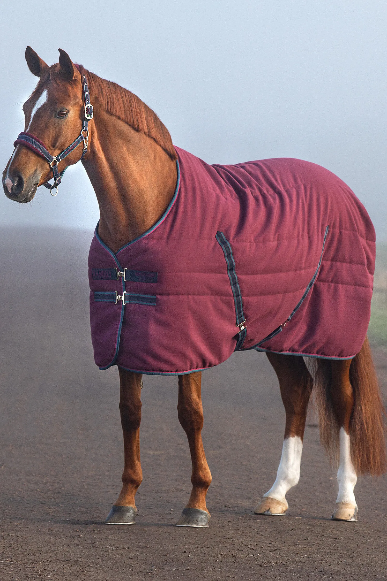 Rambo Horseware Coperta da scuderia con fodera goffrata, 100 gr