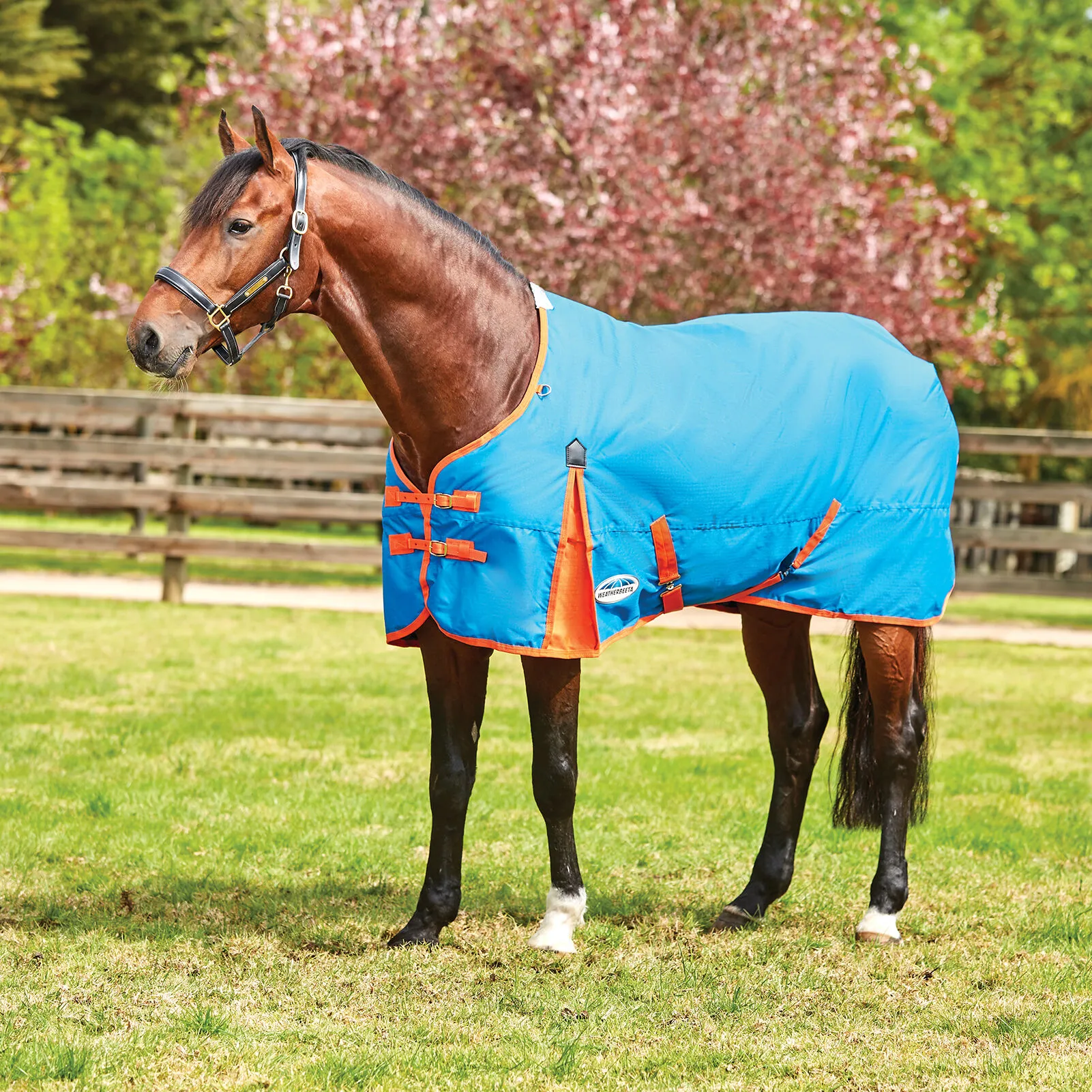 Weatherbeeta Comfitec Classic Coperta da turnout, 220 gr