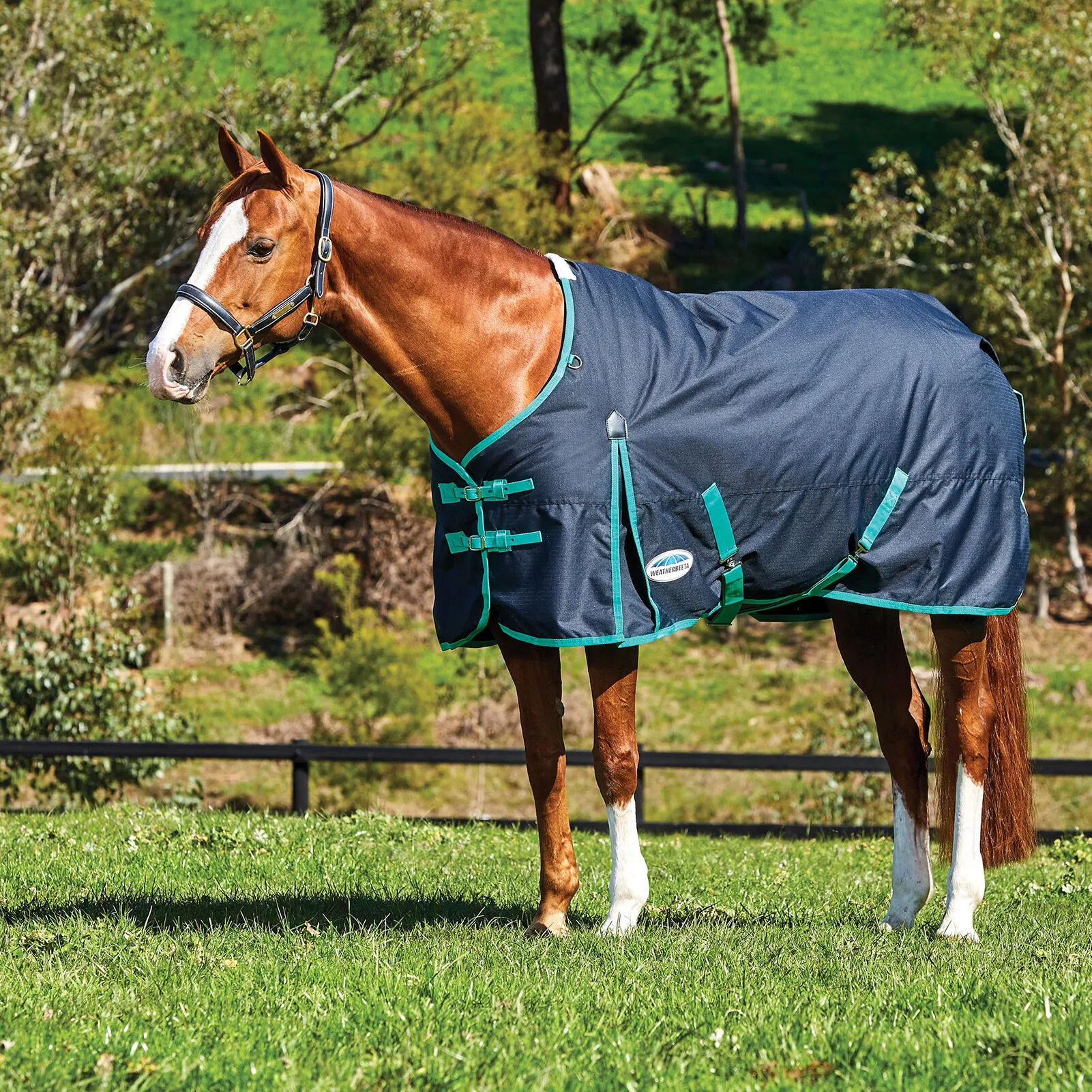 Weatherbeeta Comfitec Classic Coperta da turnout, 220 gr