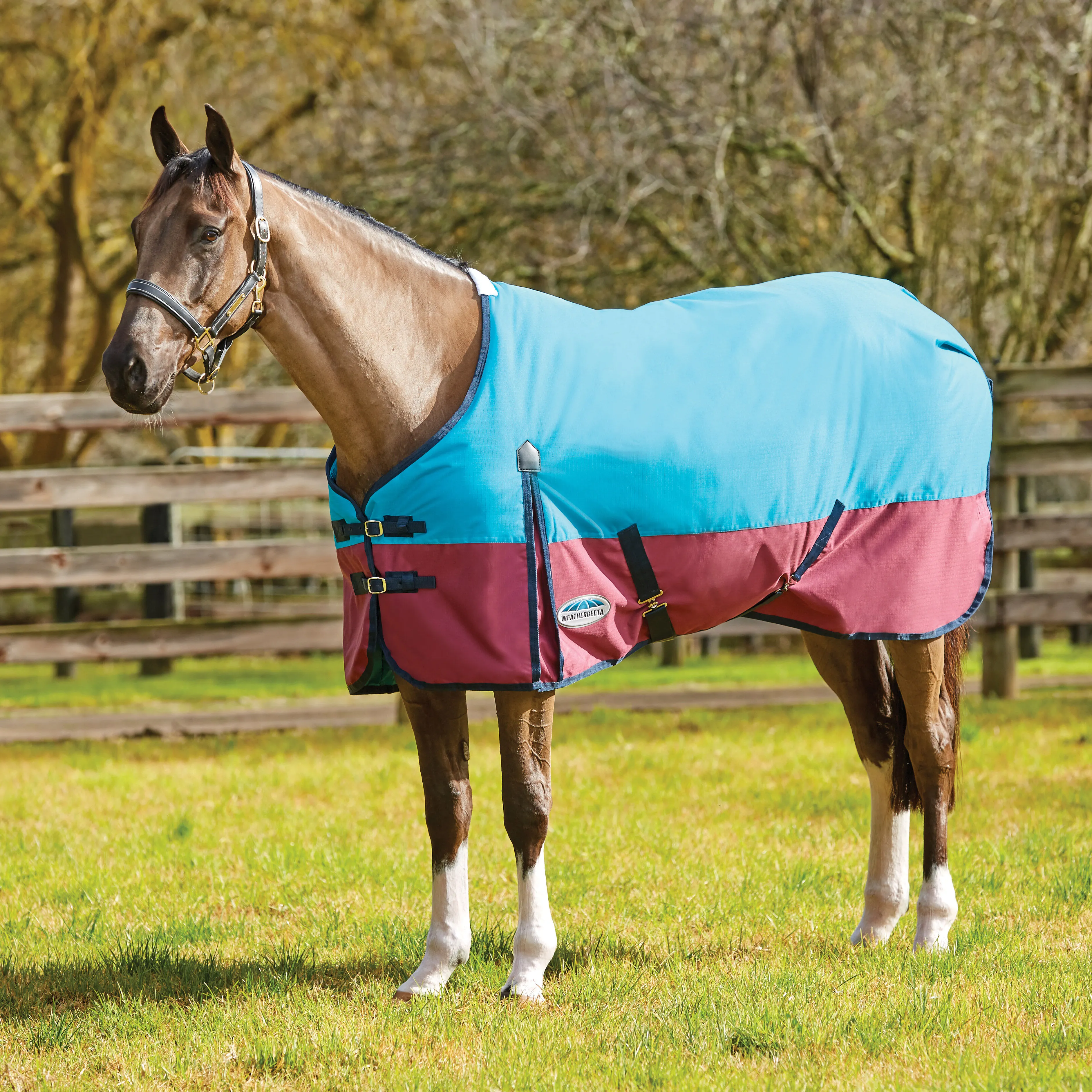 Weatherbeeta Comfitec Classic Coperta da turnout, 220 gr