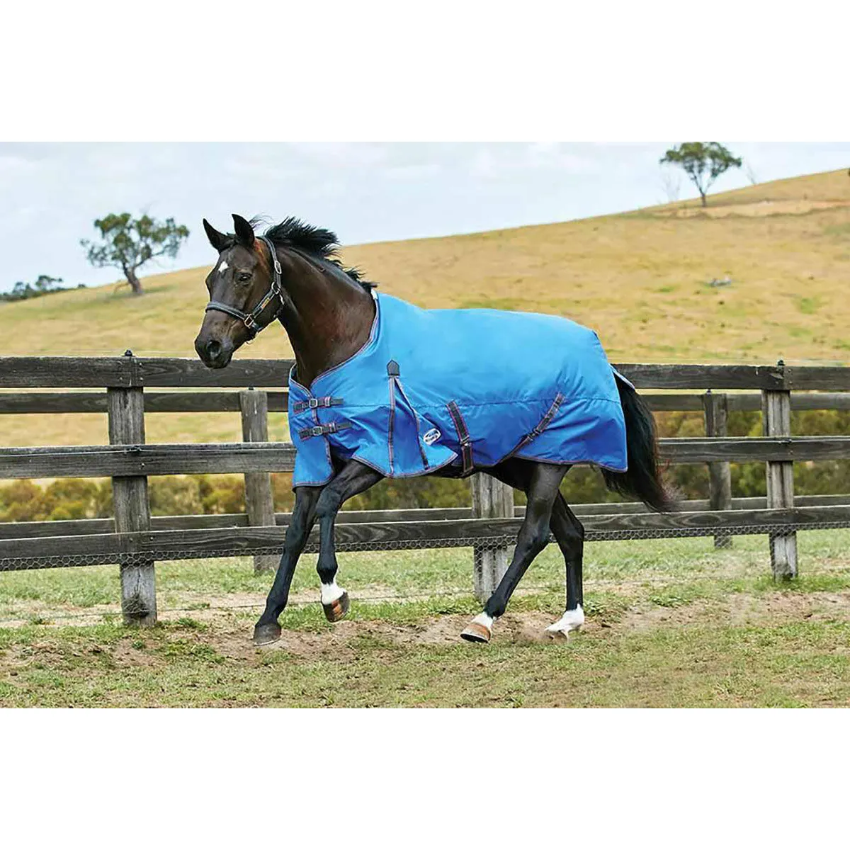 Weatherbeeta Comfitec Classic Coperta da turnout, 220 gr