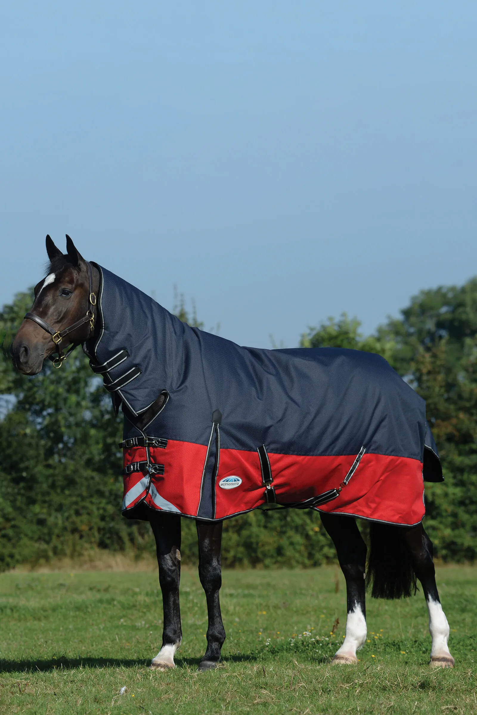 Weatherbeeta Comfitec Plus Dynamic II Combo Coperta da turnout con collo, 100 gr